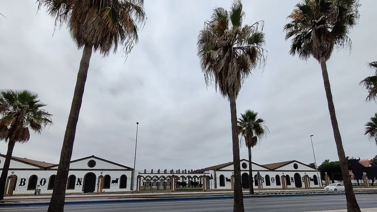 Enoturismo en El Puerto: visitas y experiencias en bodegas